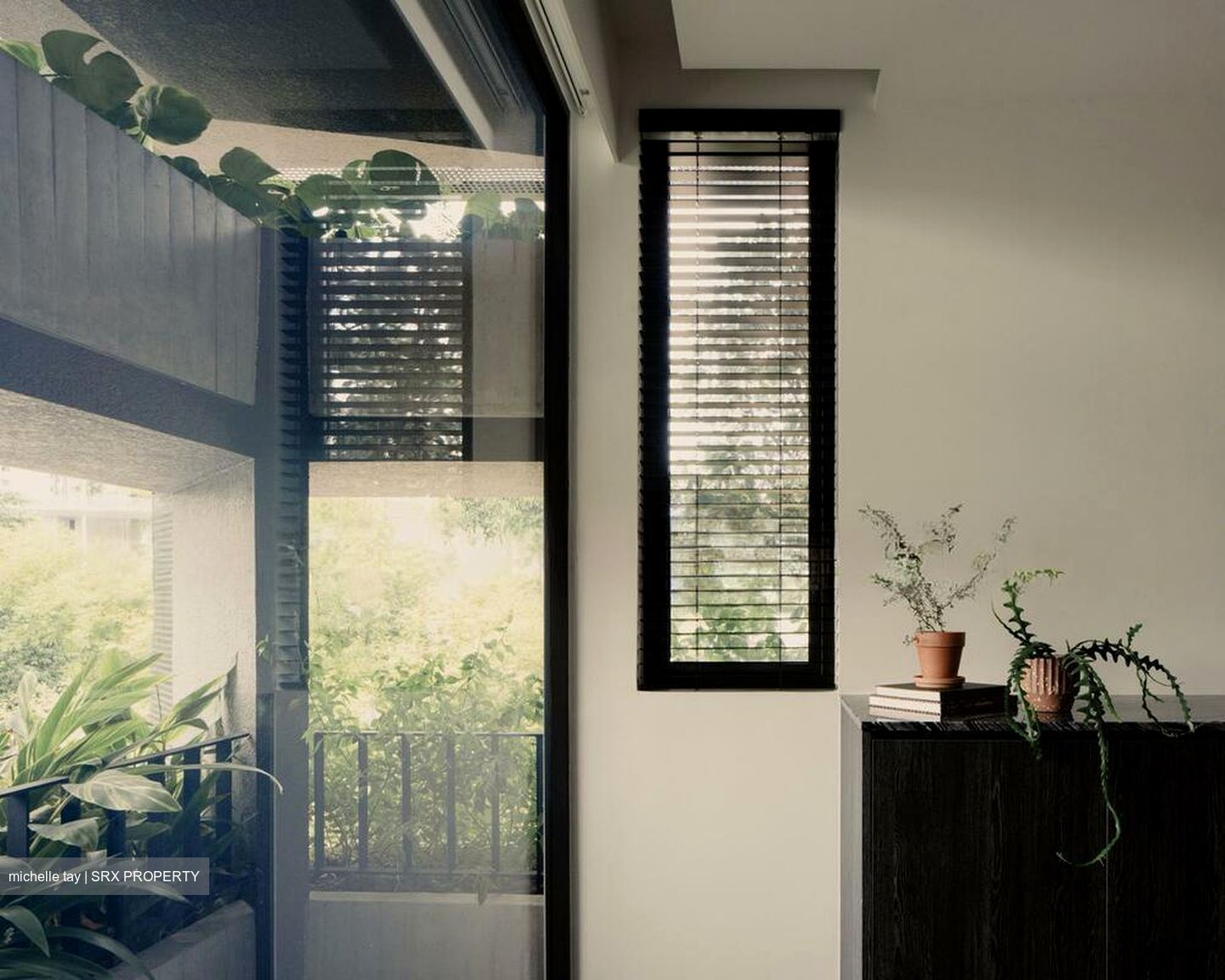 Hougang Avenue 3 (D19), Semi-Detached #497102111
